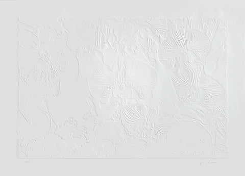 Fossil Record - Ice Strata (2nd Layer)