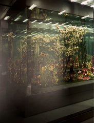 Marc Quinn (Fondazione Prada)