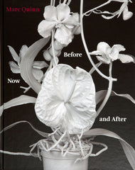 Before, Now & After, Marc Quinn